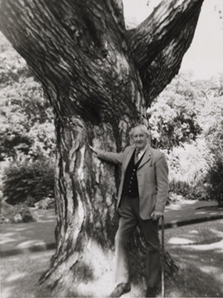 One tree to rule them all: JRR Tolkien with the black pine in Oxford Botanic Garden