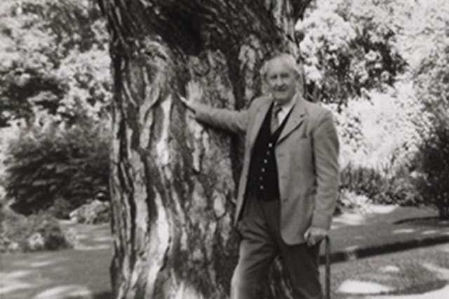 One tree to rule them all: JRR Tolkien with the black pine in Oxford Botanic Garden