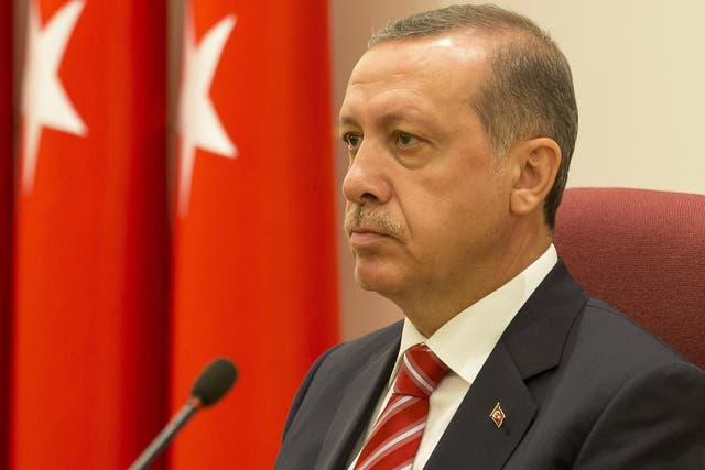 Turkish Prime Minister, Tayyip Erdogan