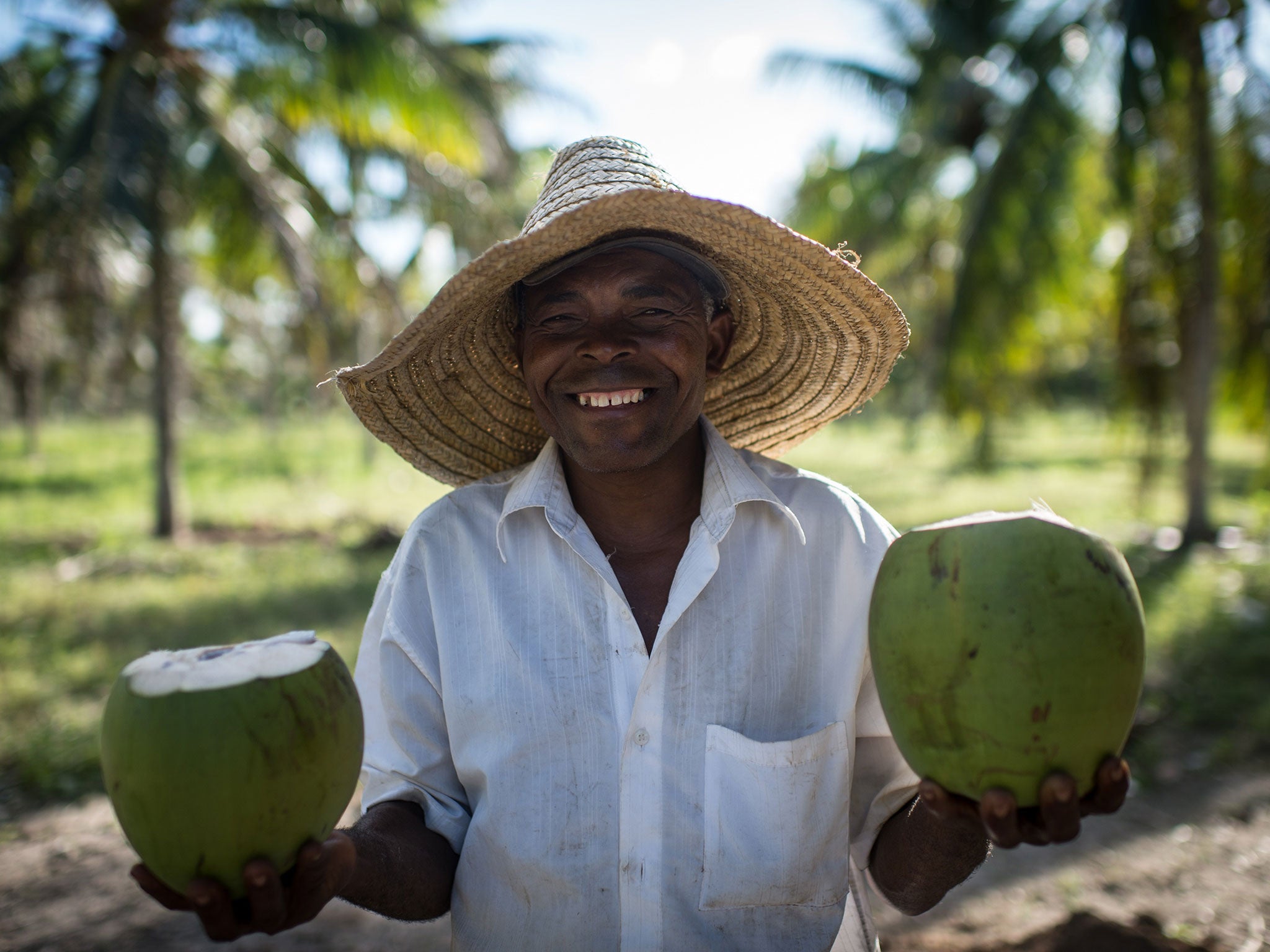 Tropical taste: a coconut farmer in Brazil shows off his wares