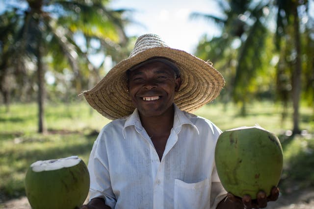 Tropical taste: a coconut farmer in Brazil shows off his wares