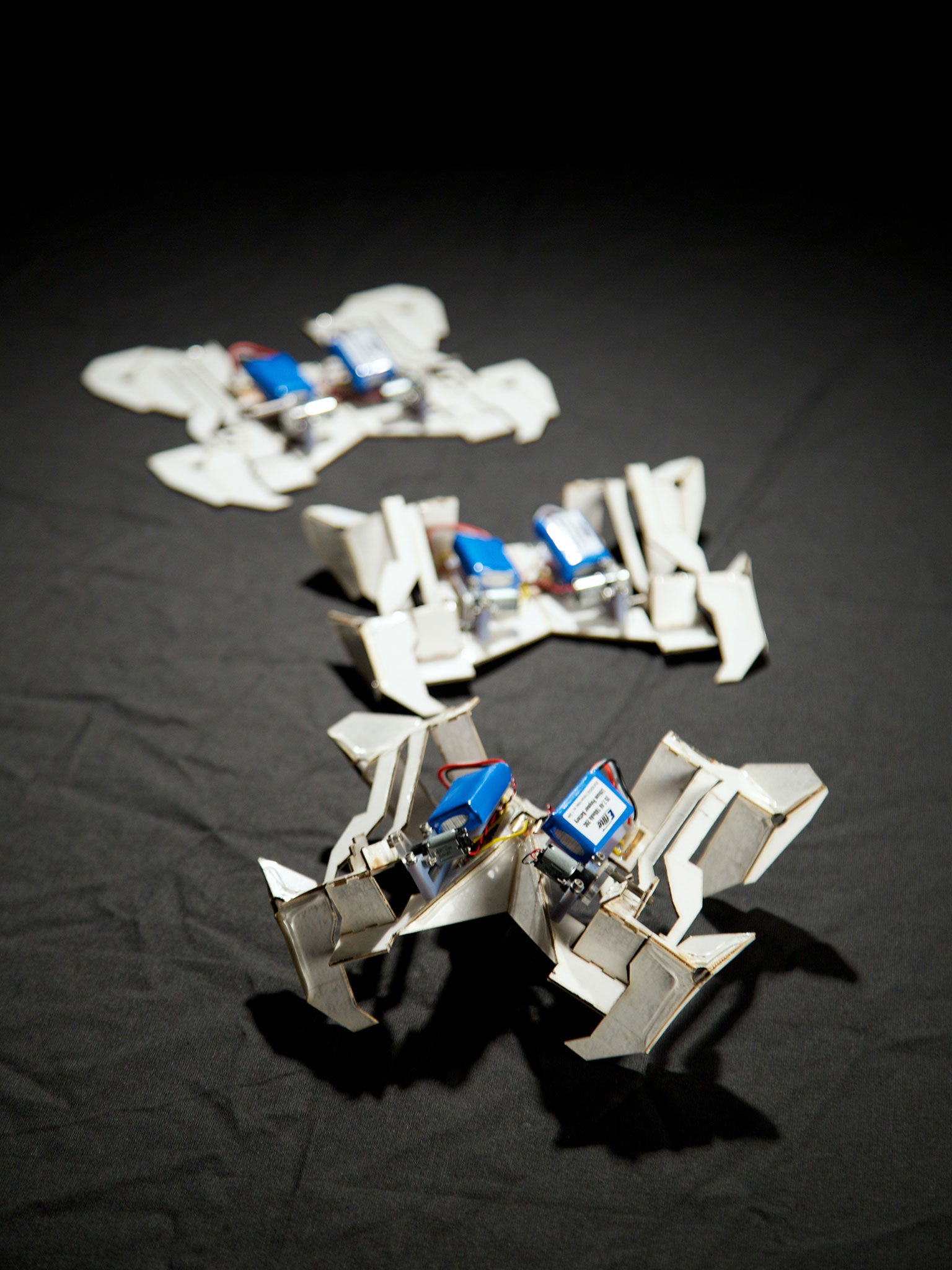 Scientists based many of their ideas for the self-folding, crawling robot on the Japanese art form origami