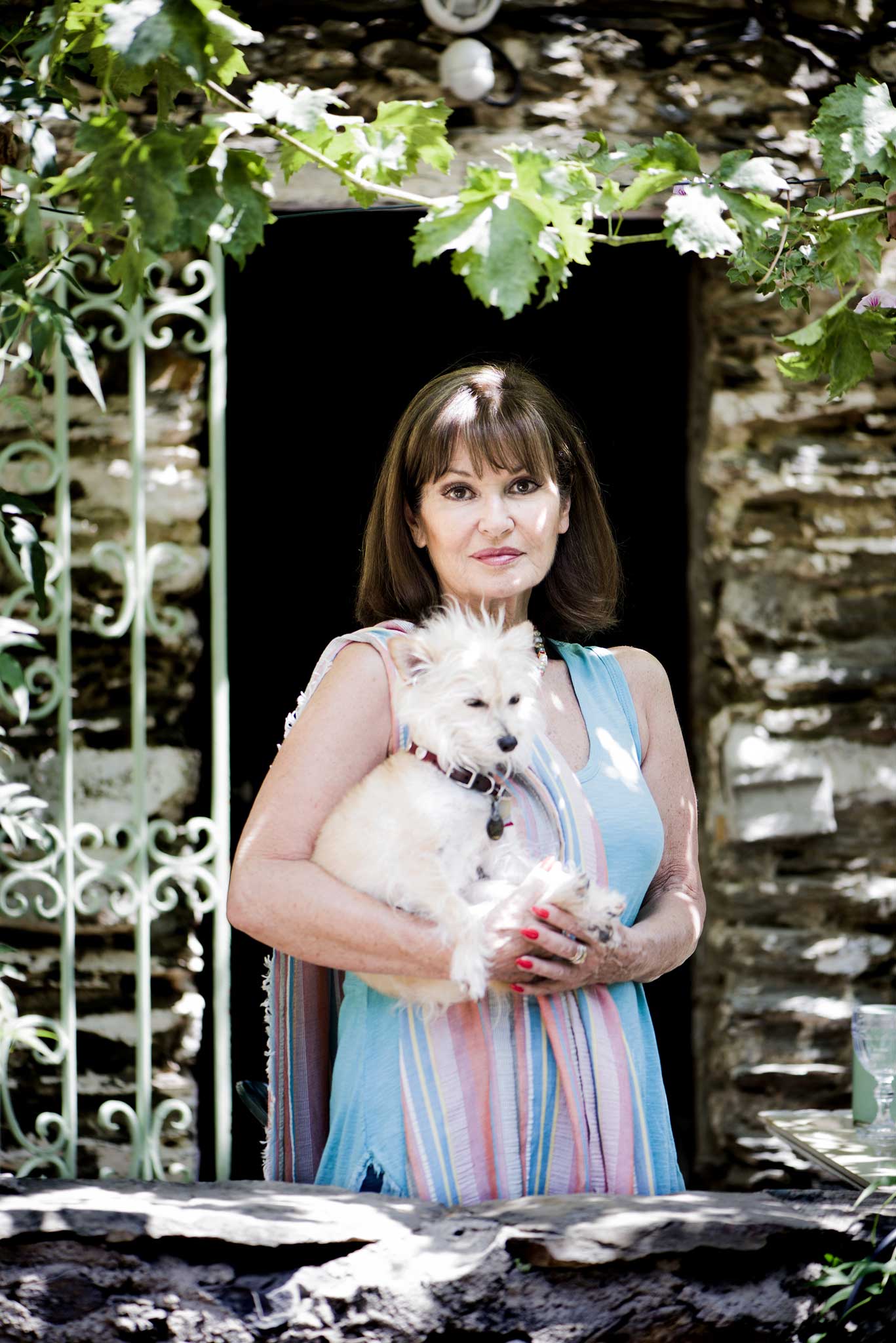 Stephanie Beacham: The actress on Marlon Brando's animal magnetism,  changing sexual mores and why Joan Collins will never visit her | The  Independent | The Independent