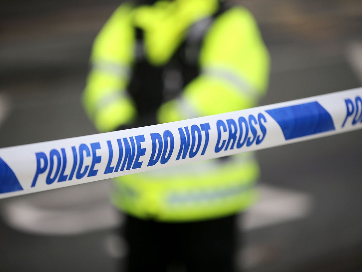 ‘You just have to be female someone will come after you’ What it’s really like as a woman in the Met Police