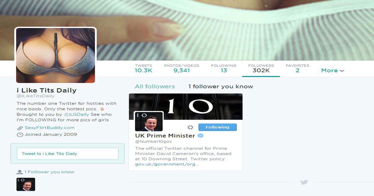 I Like Tits Daily' among bizarre Twitter accounts followed by David  Cameron's office, The Independent