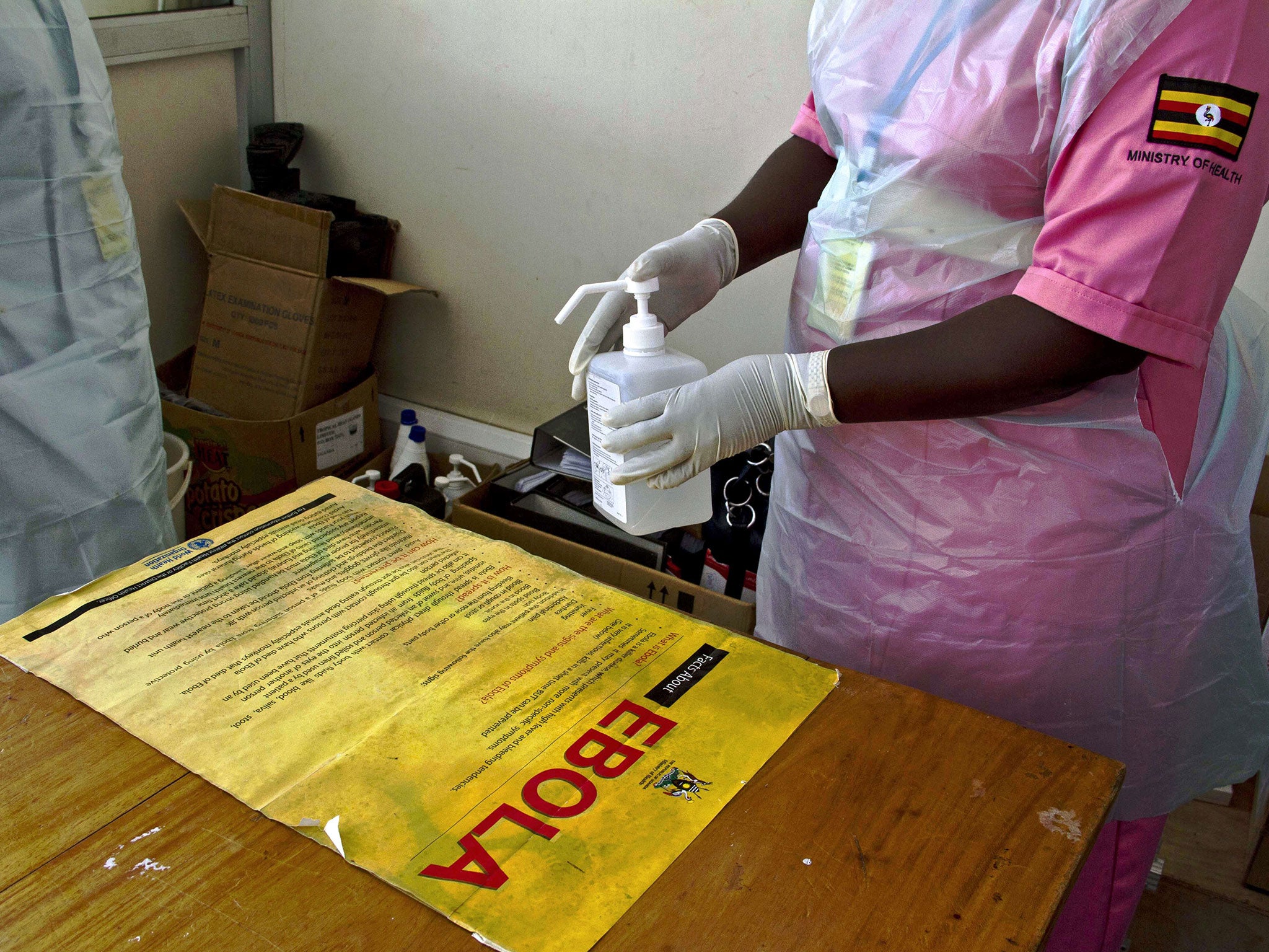 The Ebola outbreak has been traced to a suspected 'patient zero' - a two-year-old boy