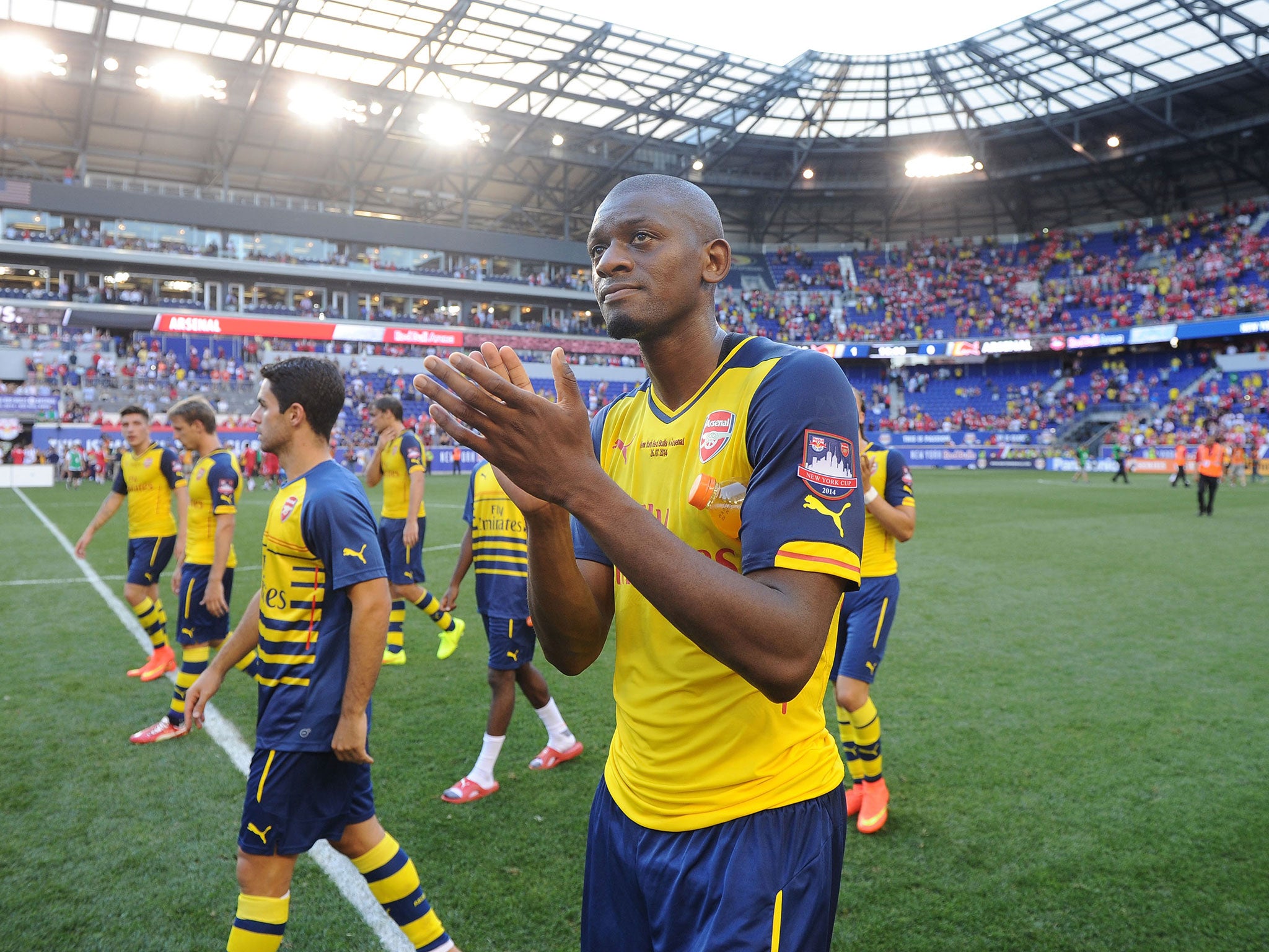 Abou Diaby has suffered a reported hip injury