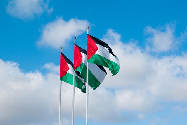 Glasgow and Fife are flying Palestine flags in support of Gaza victims