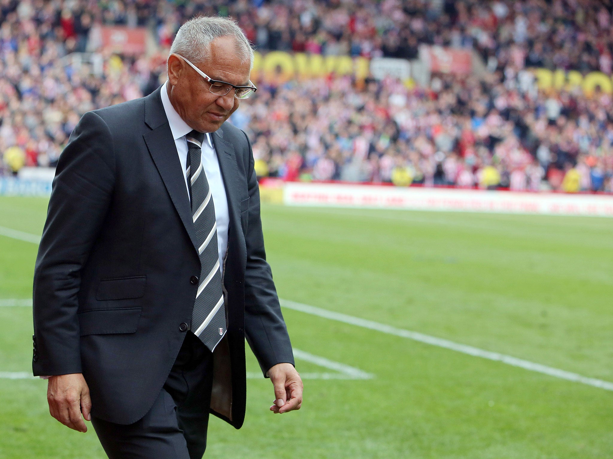 Fulham manager Felix Magath