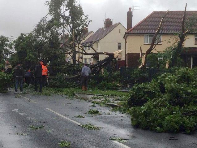Trees blown over in a 'tornado' in Hopewell Road, Hull, as the remnants of Hurricane Bertha swept across parts of the country