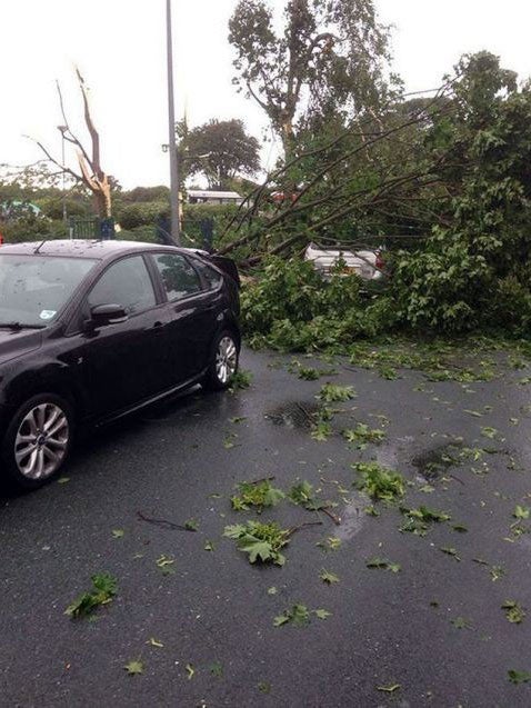 A tree on top of June Stephenson's taxi after a 'mini tornado' in Hull