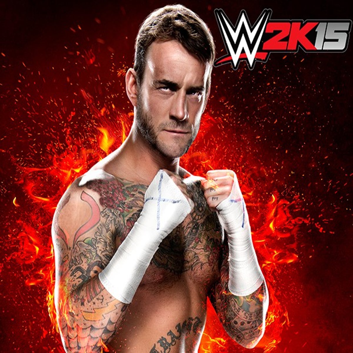 CM Punk confirmed for WWE 2K15, feud with John Cena will be playable in  'mini-documentary' style, The Independent