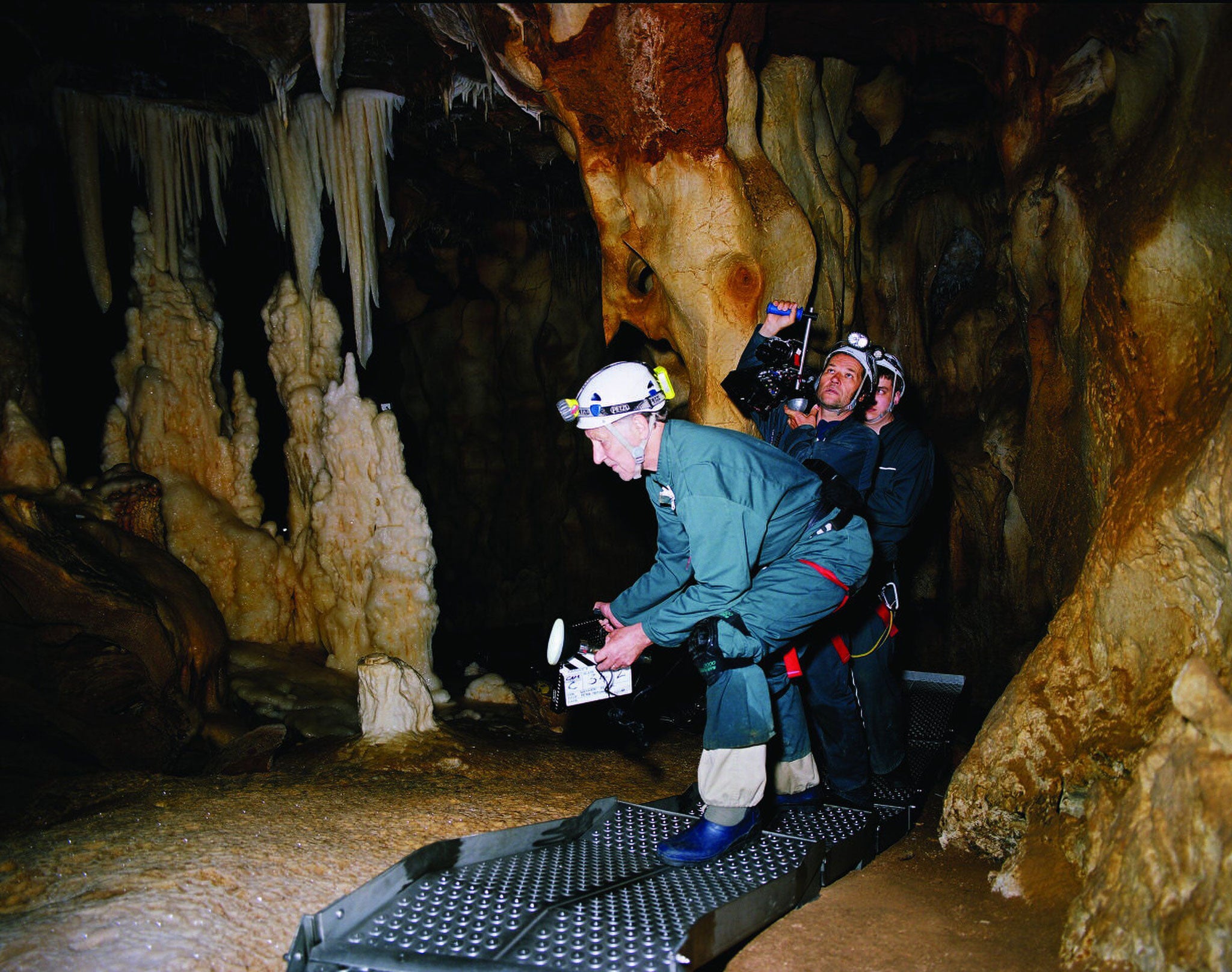 Cuddly cult object? Werner Herzog, in Cave of Forgotten Dreams