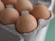 Best breakfast for children is eggs, claim scientists