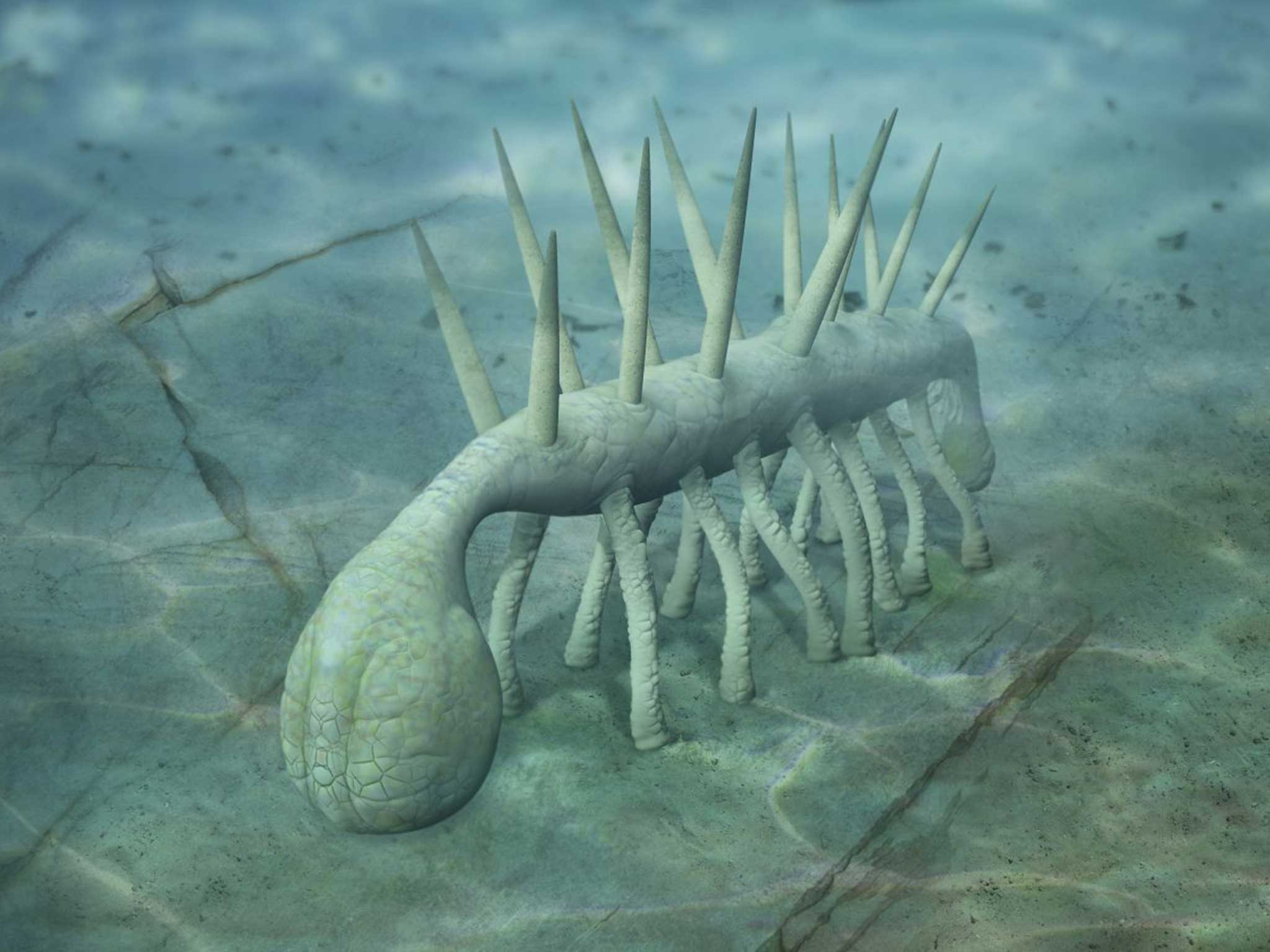 Hallucigenia revealed: The most surreal creature from strangest period in  history of life on Earth | The Independent | The Independent