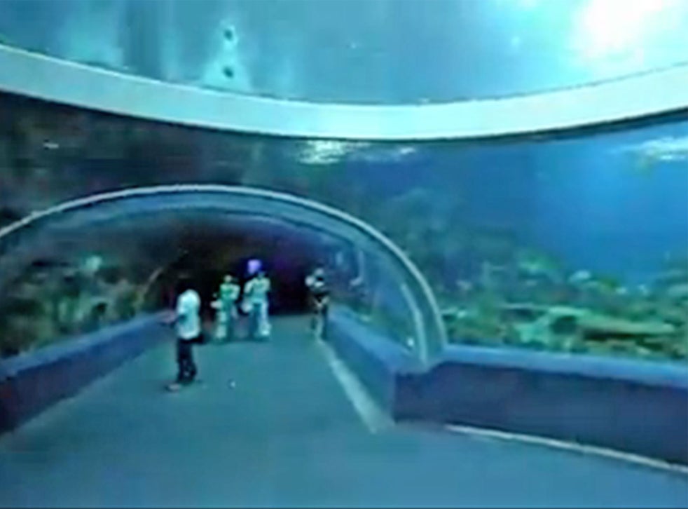 Video: World's largest aquarium - Aquairum China