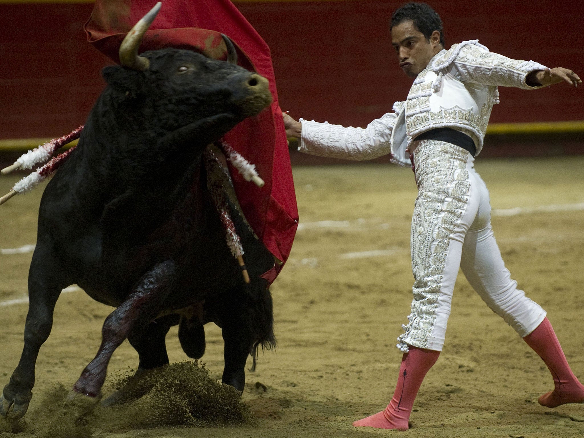 Colombian bullfighter Luis Bolivar performs during a bullfight at La Macarena