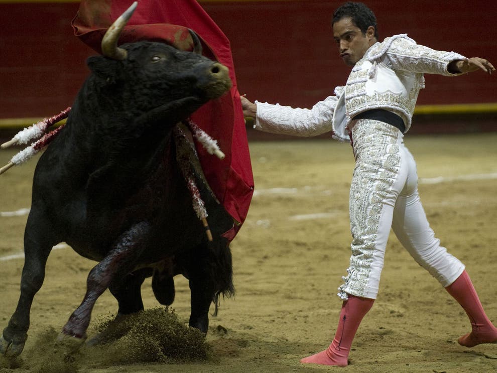 Bogota Bullfighters Stop Us Killing Bulls And Well Kill Ourselves The Independent The