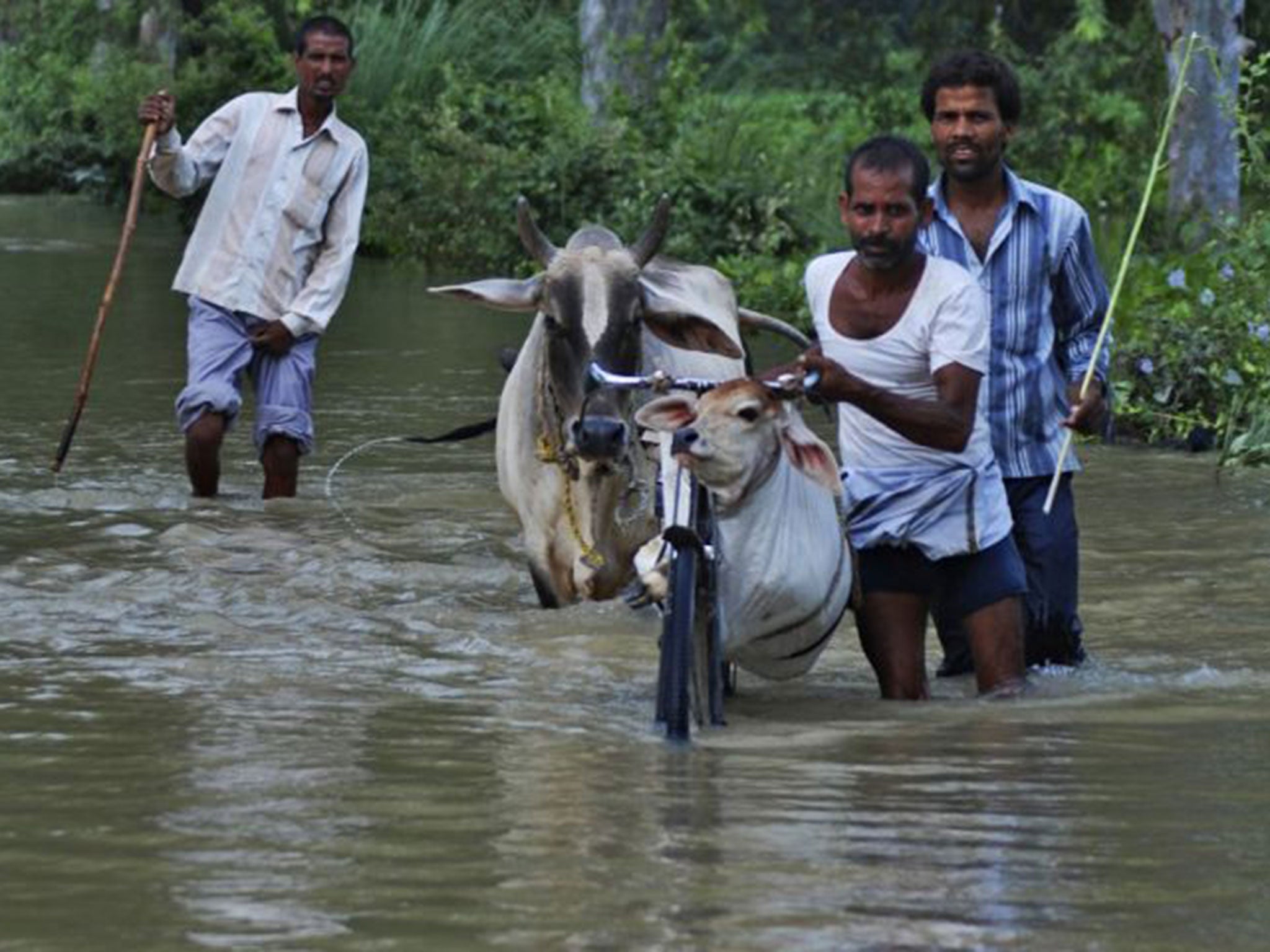 The death toll from three days of flooding and torrential rain in Nepal and India has now risen to more than 180