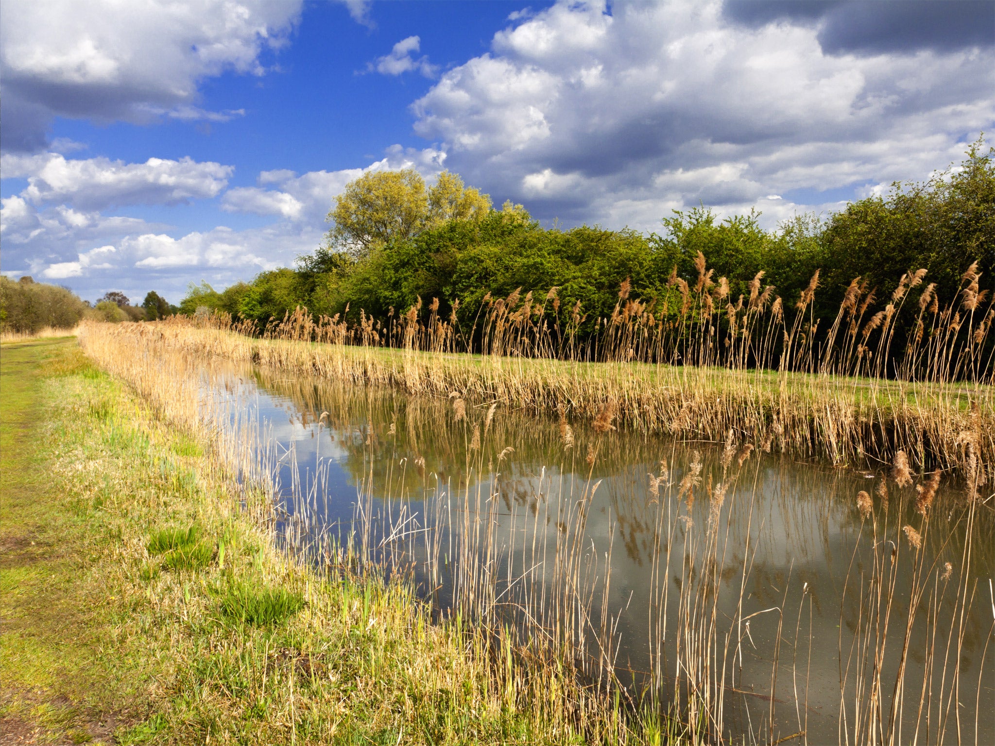 As nature intended: Wicken Fen nature reserve (National Trust)