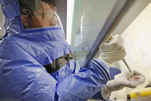 A doctor prepares an Ebola blood sample for analysis