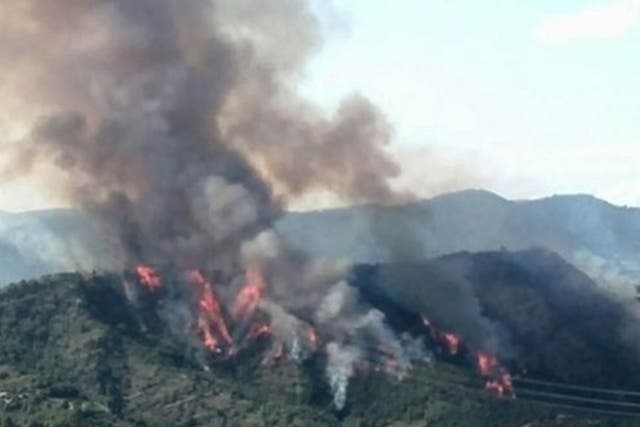 Una fotografía proporcionada por el Telejournal italiano Tg1 el 19 de agosto de 2014 muestra el incendio forestal