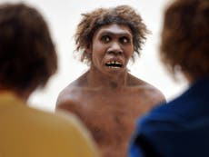 Neanderthals lived alongside humans for centuries, latest study shows