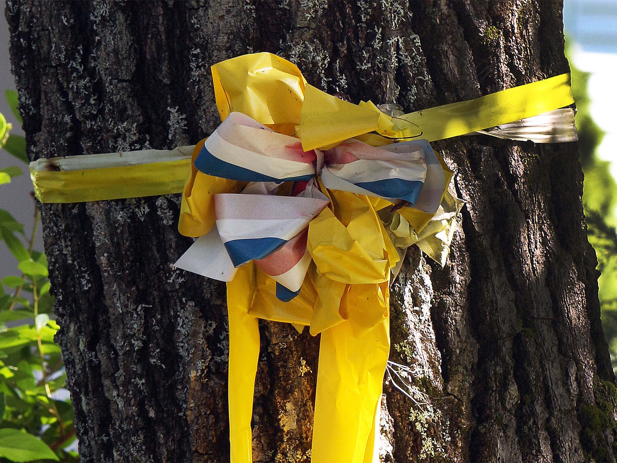 A yellow ribbon is tied to a tree outside the family home of journalist James Foley