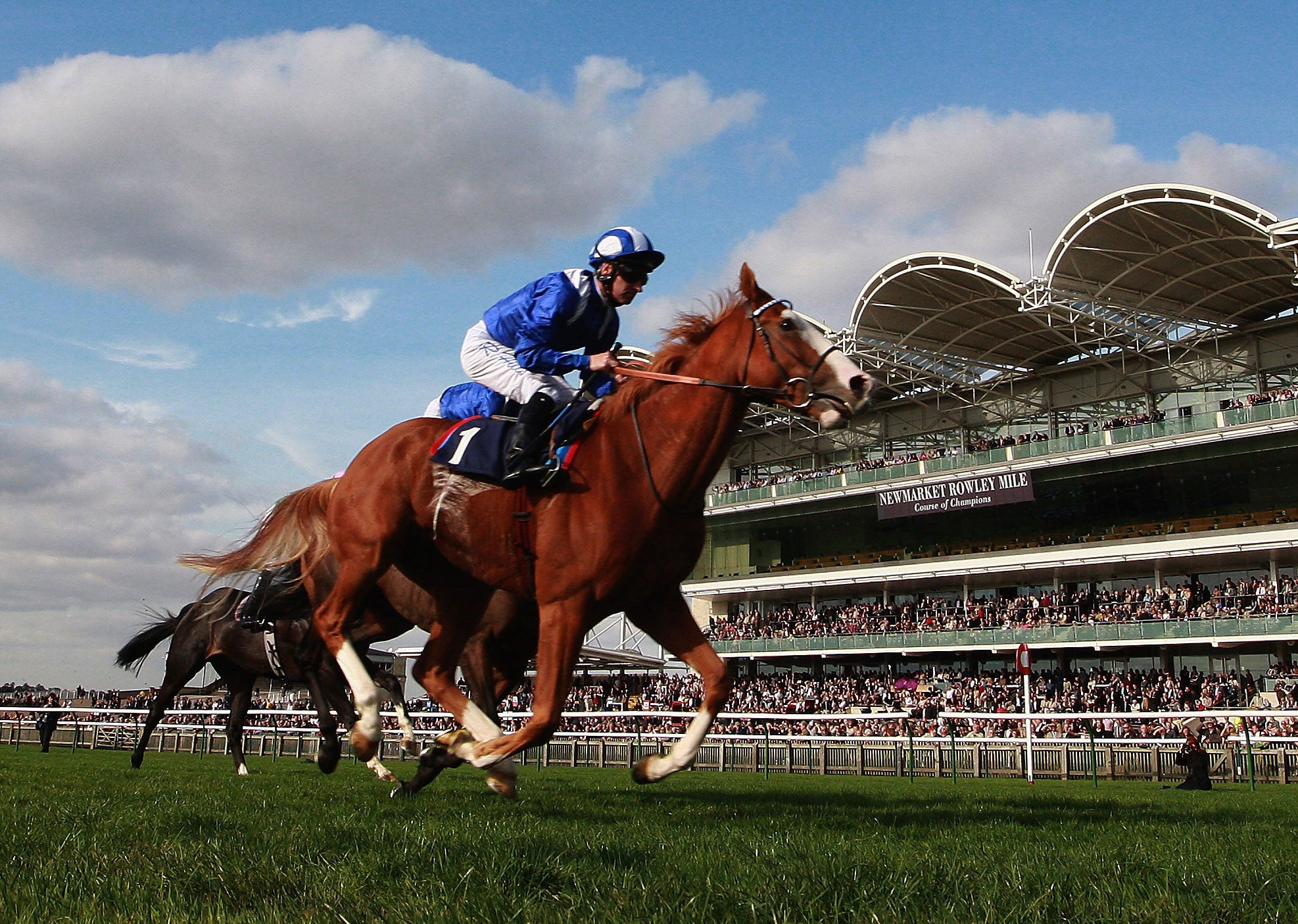 Mr Wright runs a equine hospital in Newmarket, a town famed for racing