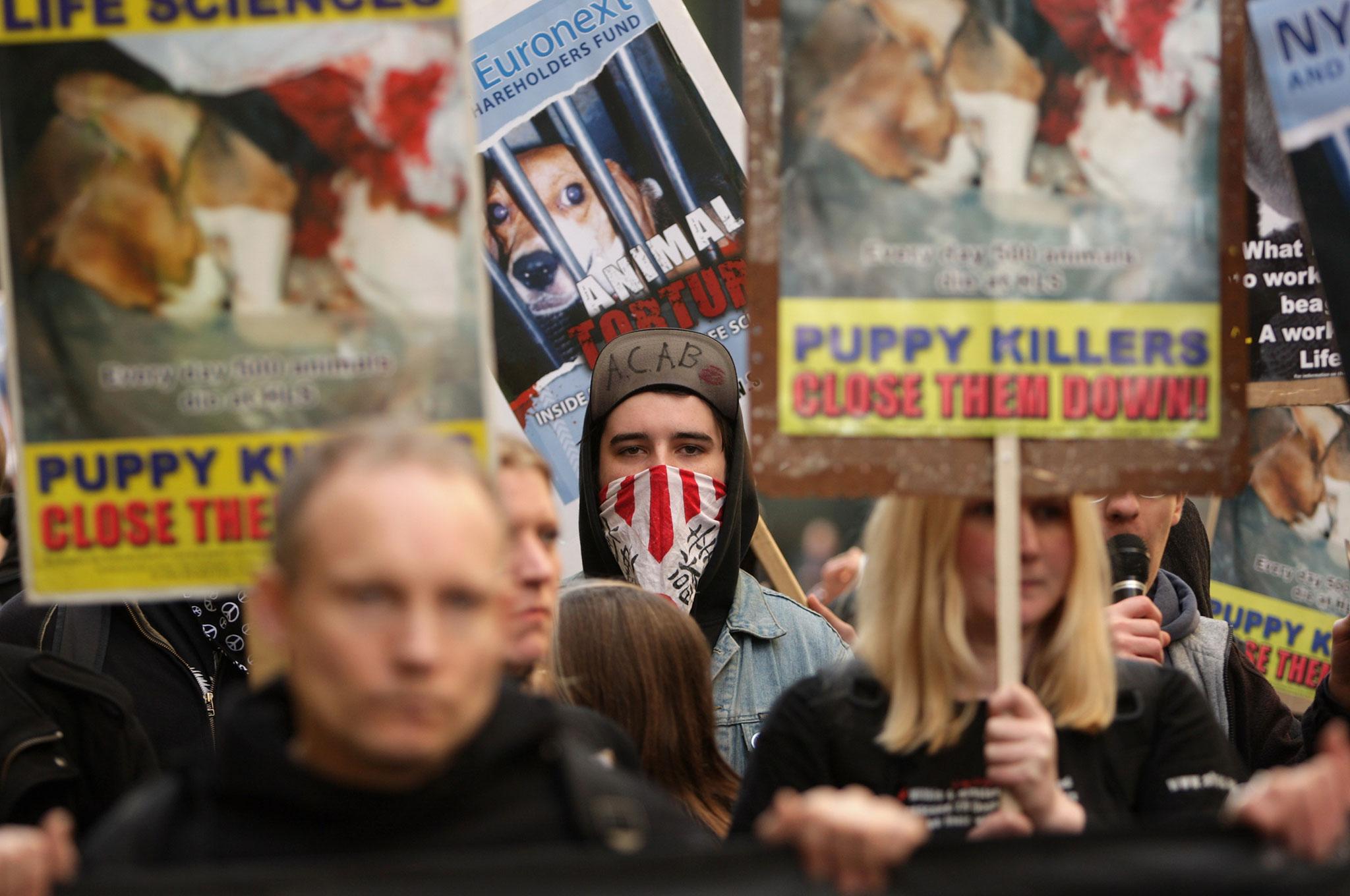 Animal rights group ends 15-year campaign against experiments at