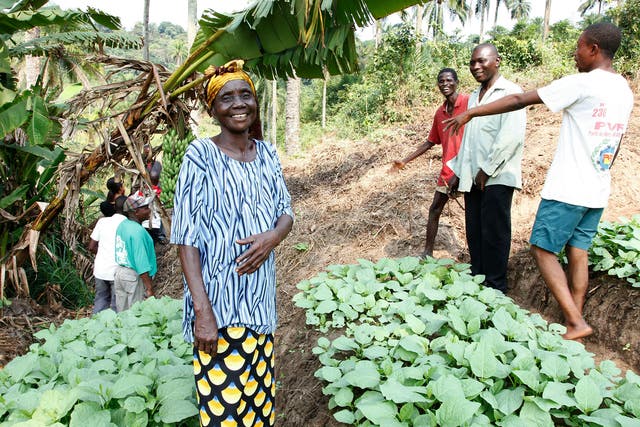 Members of the community farming group at work in their community fields near the town of Masi Manimba, Bandundu Province, DRC.