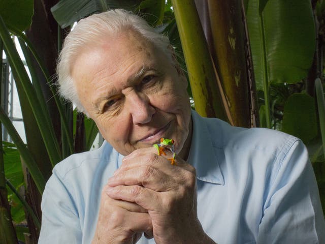David Attenborough spent four years making Life Story