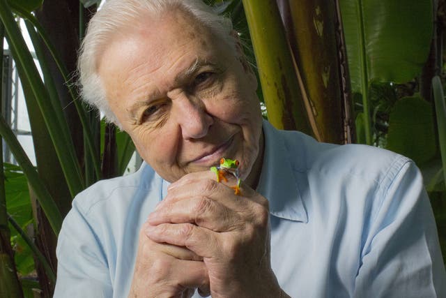 David Attenborough spent four years making Life Story