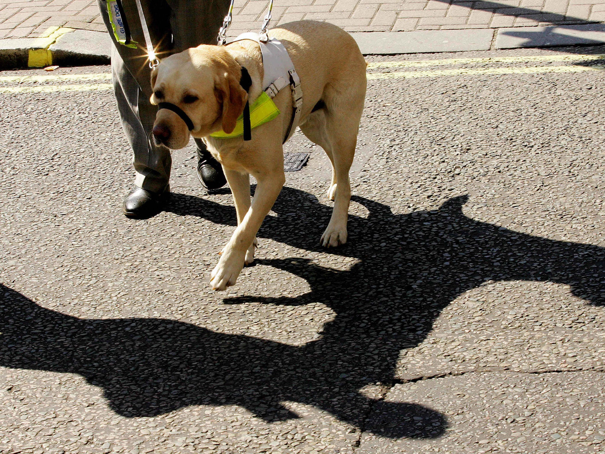 A charity has accused cyclists of making guide-dog owners cower in fear