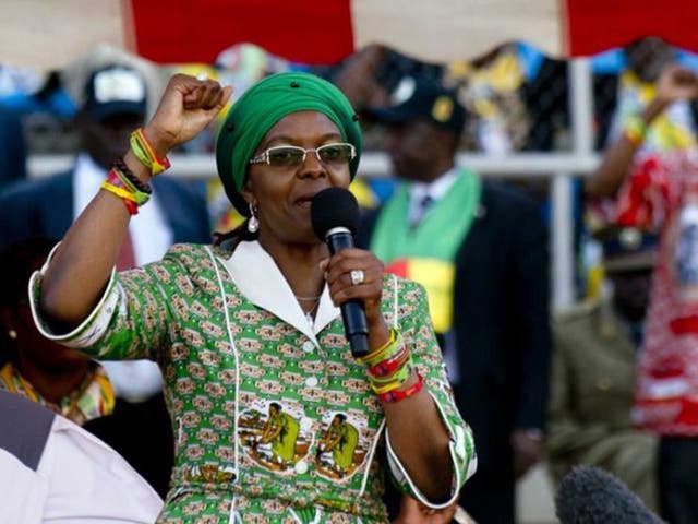 Relative values: Grace Mugabe, in Harare last year