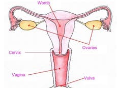 Half of young women 'unable to locate their vagina'
