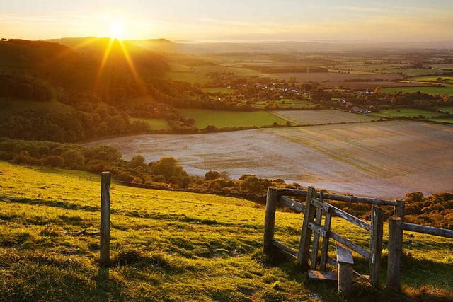 The longer David Sedaris had his Fitbit, the further afield his walks took him through the West Sussex countryside