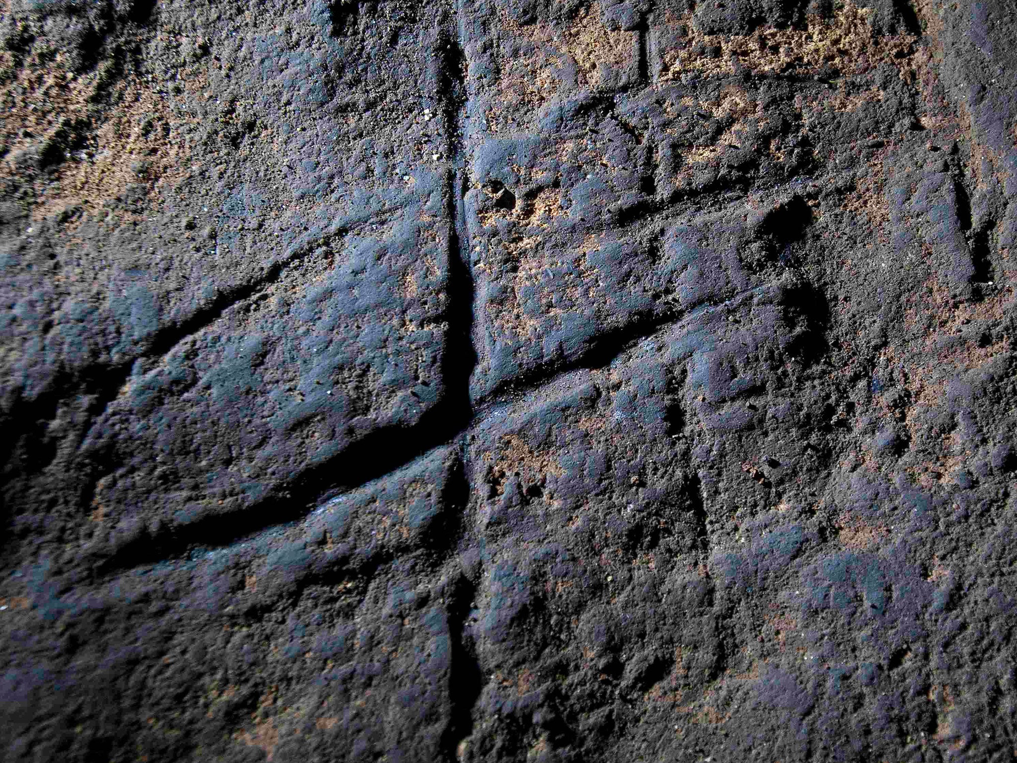 Is it art? Neanderthal carvings found in a cave in Gibraltar