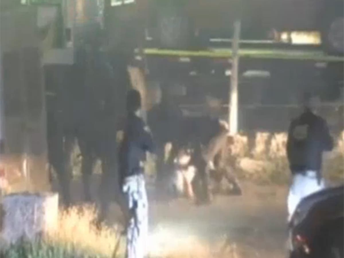 Police seize $30 million of cocaine and marijuana in Chile drugs raid ...