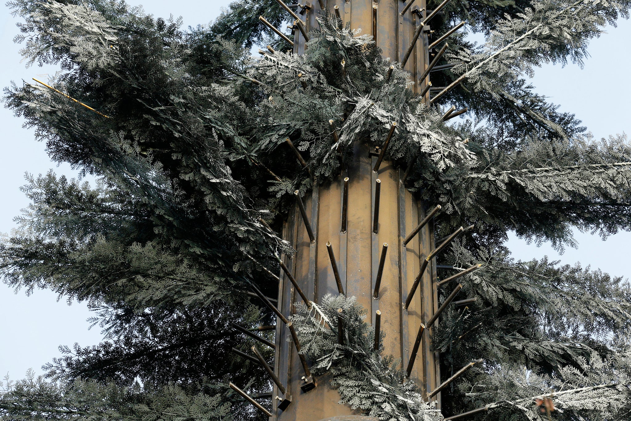 A mobile phone tower is disguised with fake foliage in this file photo.