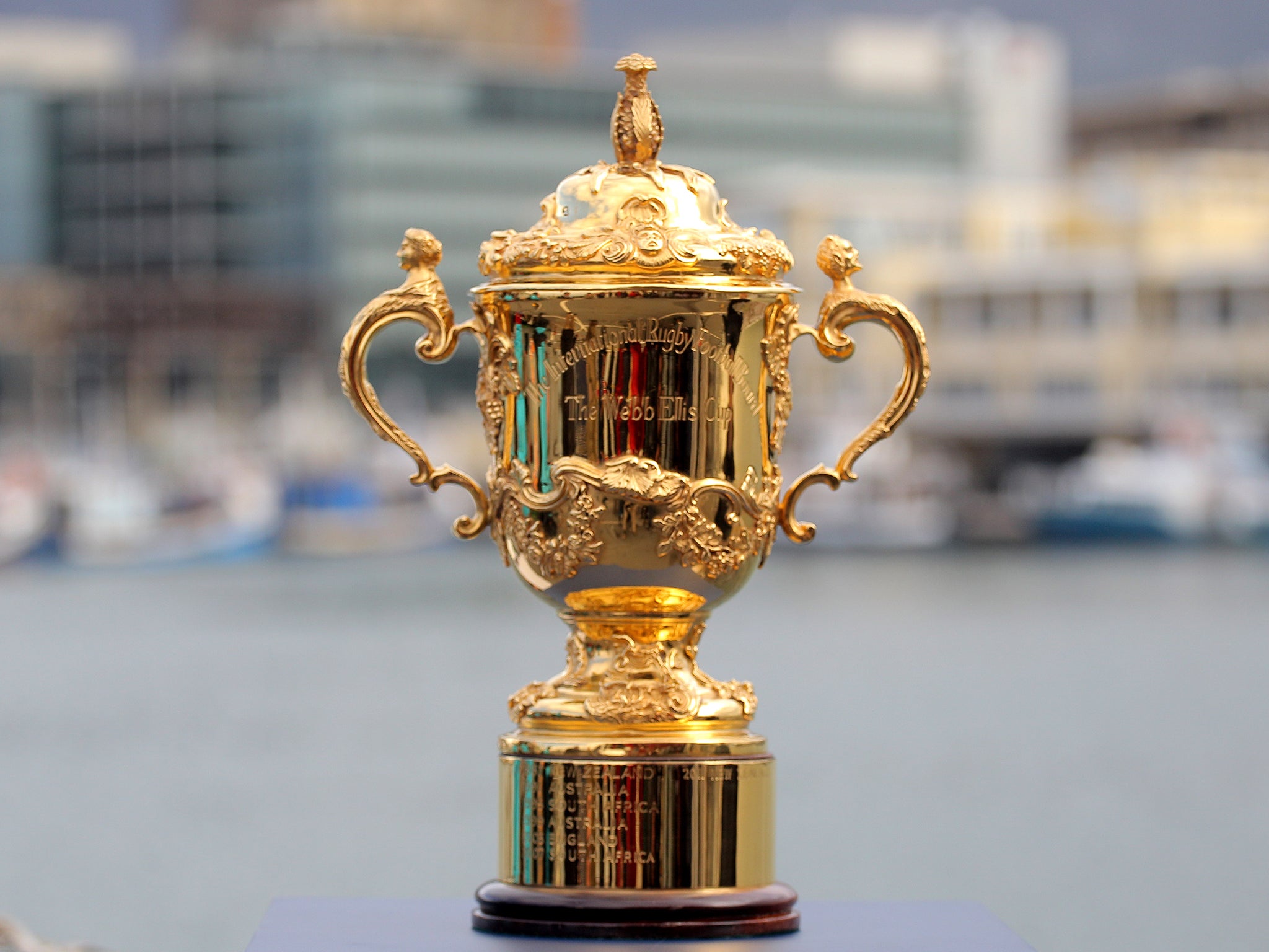 Rugby World Cup: Six Tigers to feature in crucial pool games