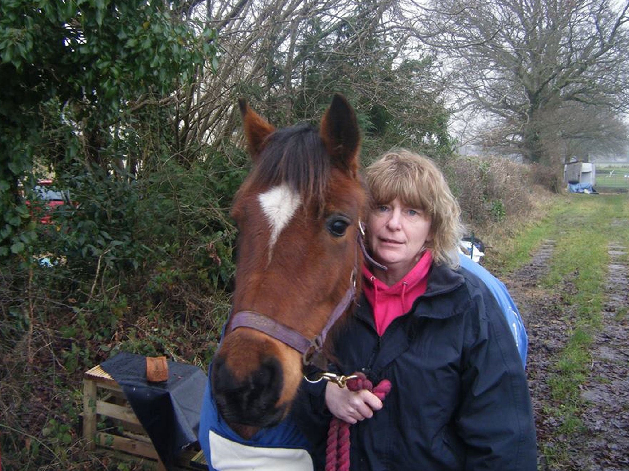 Detectives from Hampshire Constabulary say they believe Penelope Anne Davis, 47, was tending her horse shortly before she was killed