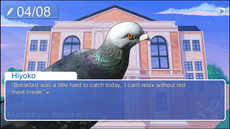 Hatoful Boyfriend review: the bird dating sim