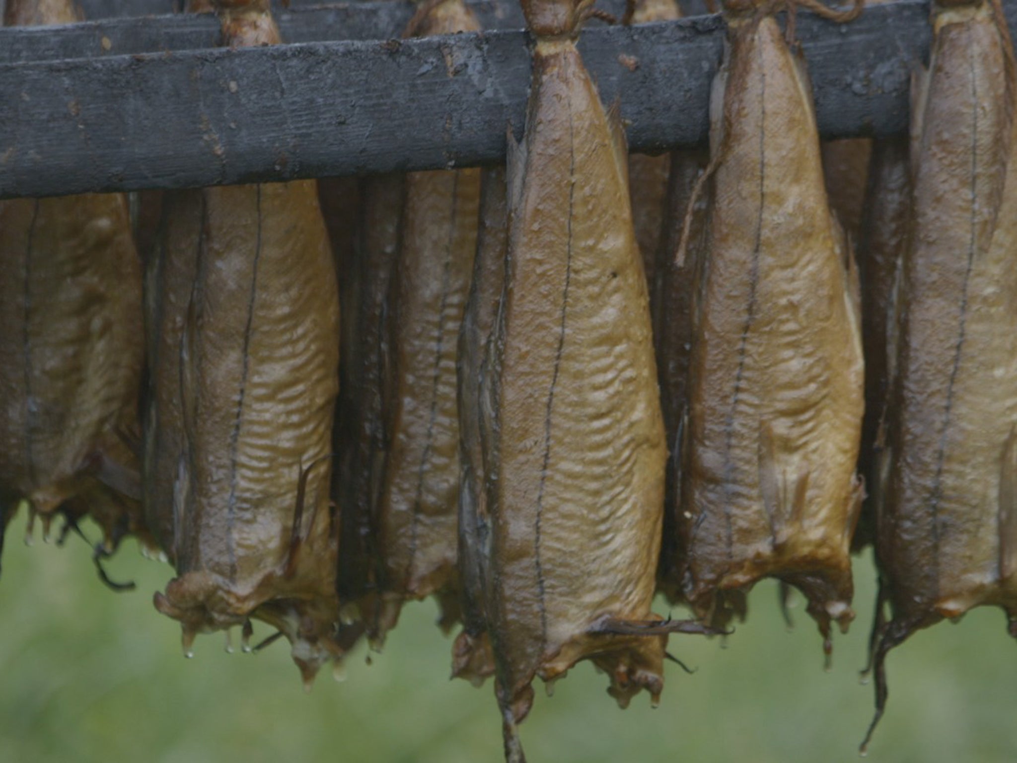 Arbroath Smokies - a type of haddock beloved by high-end restaurants - are unique to a tiny fishing village called Auchmithie