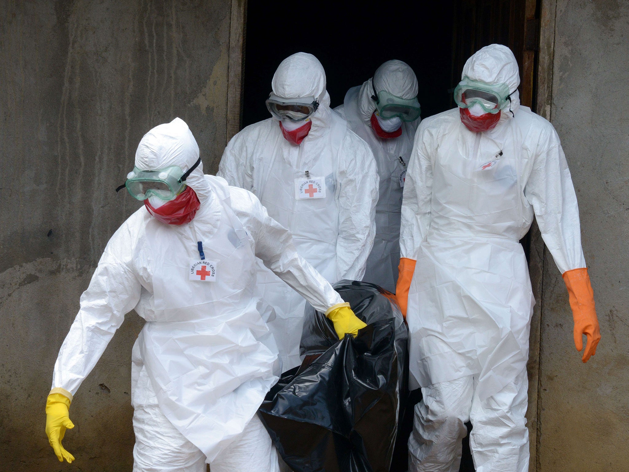 Medical workers of the Liberian Red Cross, wearing a protective suit, carry the body of a victim of the Ebola virus in a bag in Monrovia