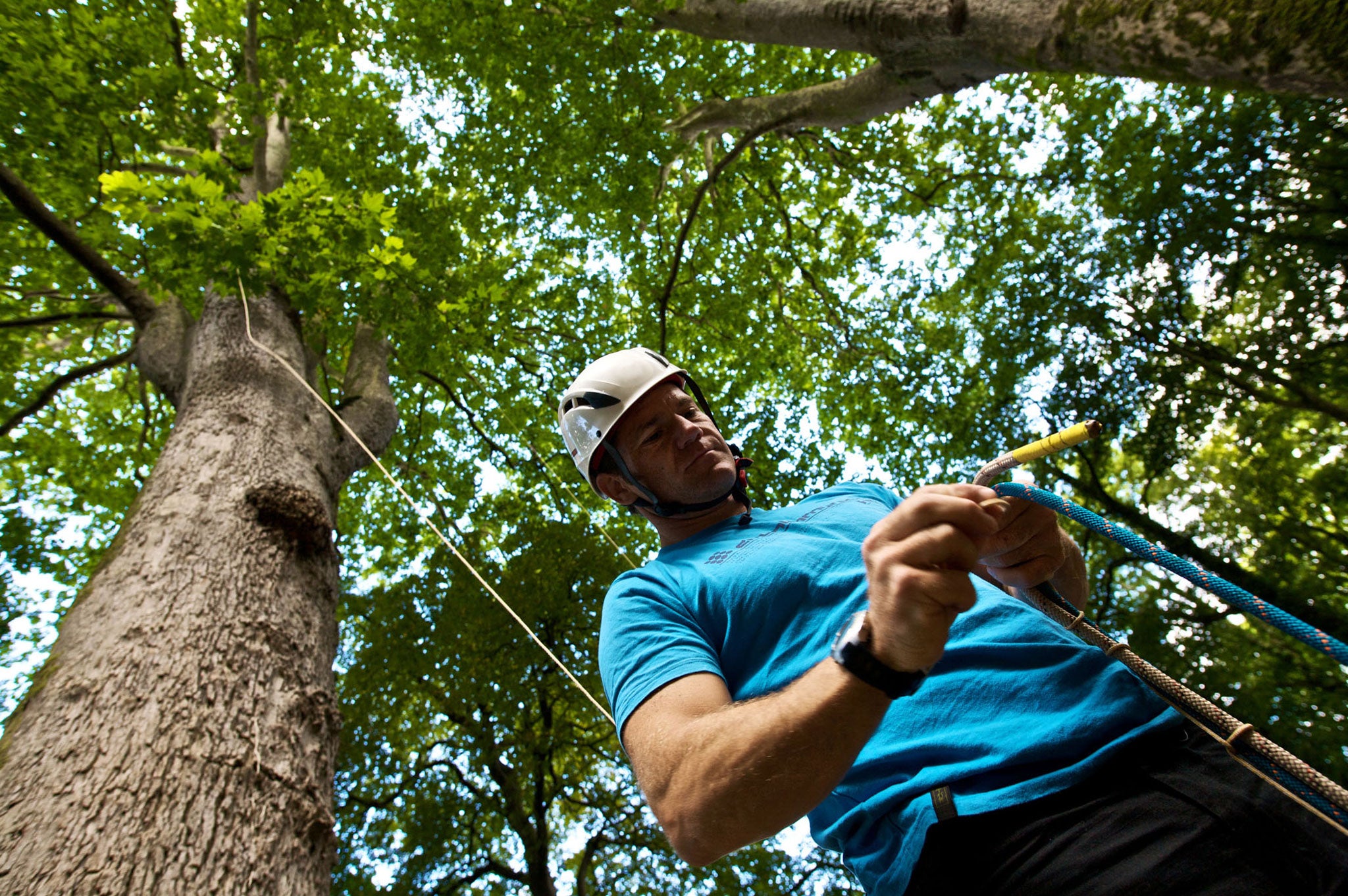 Backshall climbing a tree in a jungle on Deadly 60 spin-off Live'n'Deadly