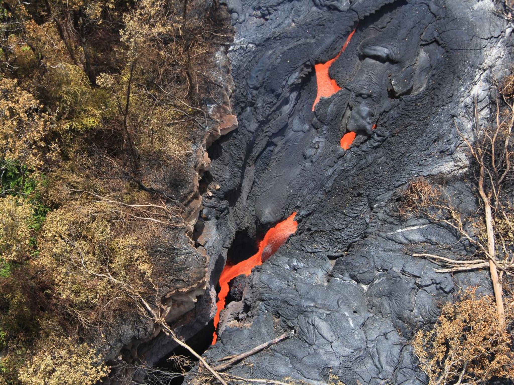 Fluid lava streams from the Kilauea volcano in Pahoa, Hawaii. 