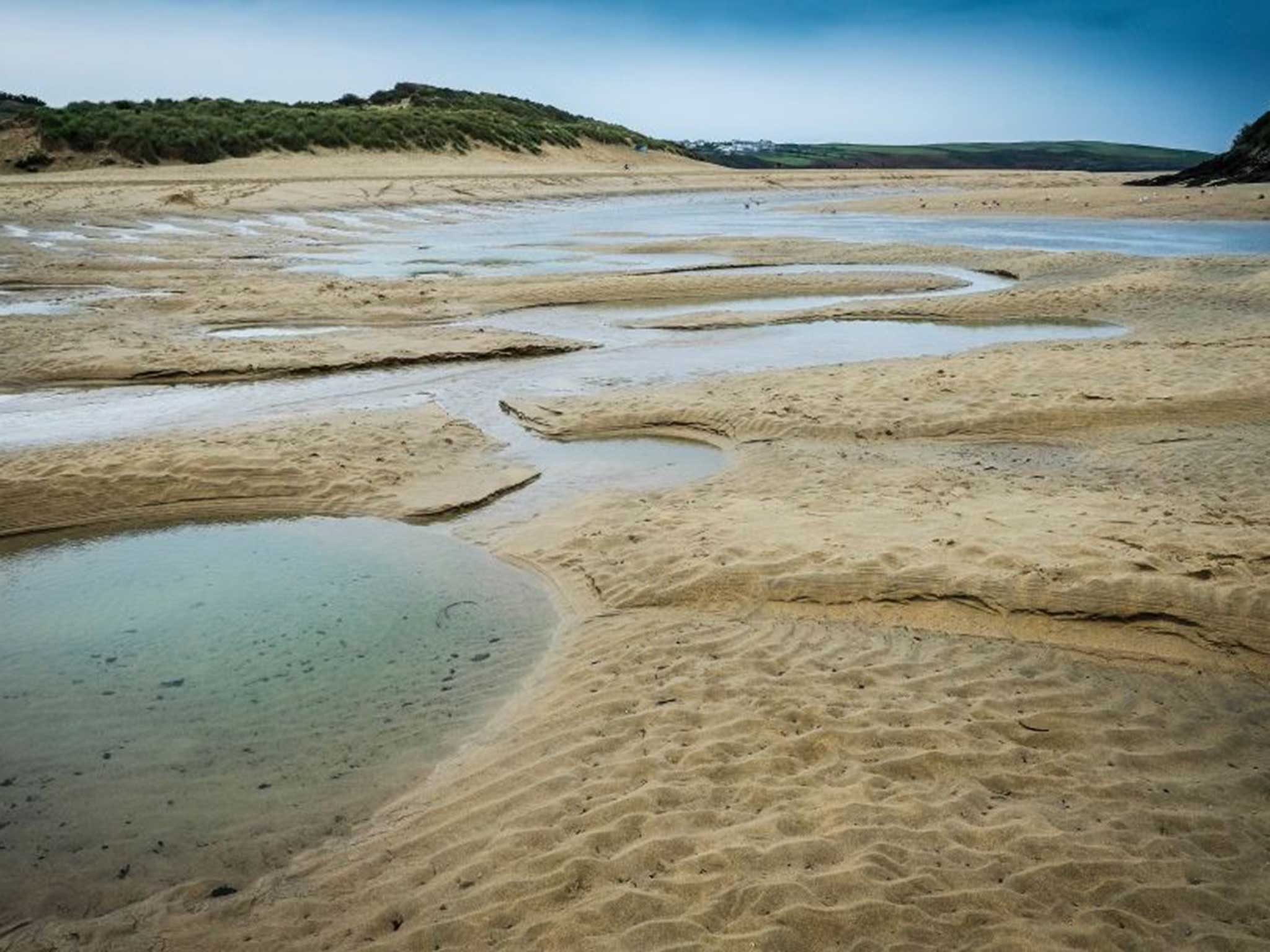 Call of the wild: Places such as Cornwall’s Gannel estuary are sanctuaries for people as much as birds