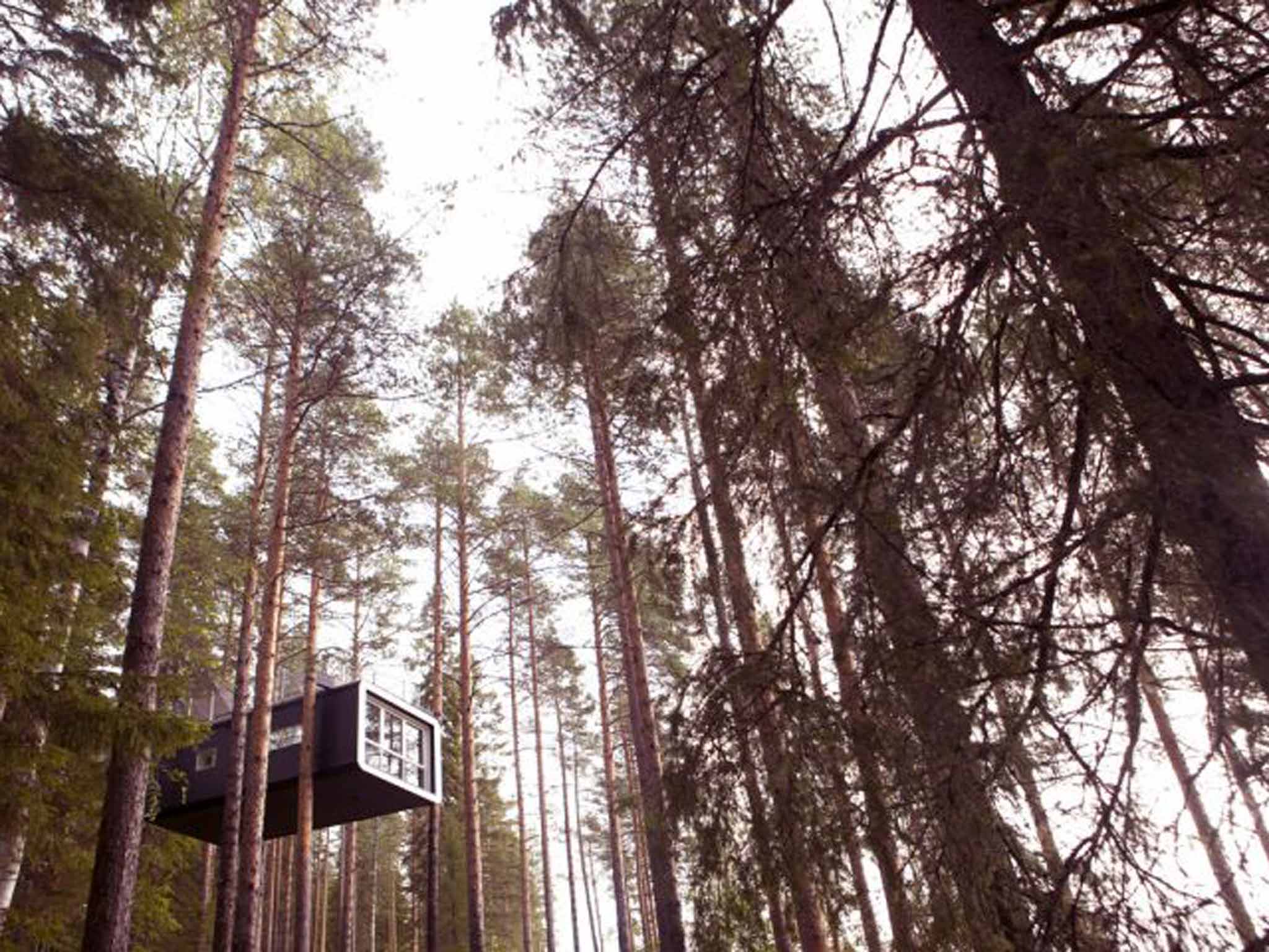 The Tree Hotel in Sweden