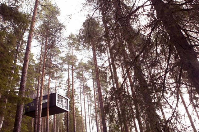 The Tree Hotel in Sweden